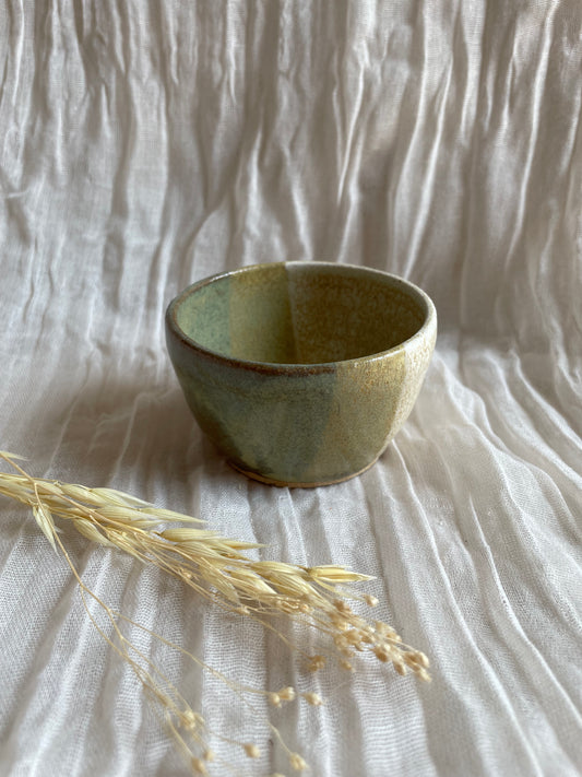 Bamboo Condiment Pot