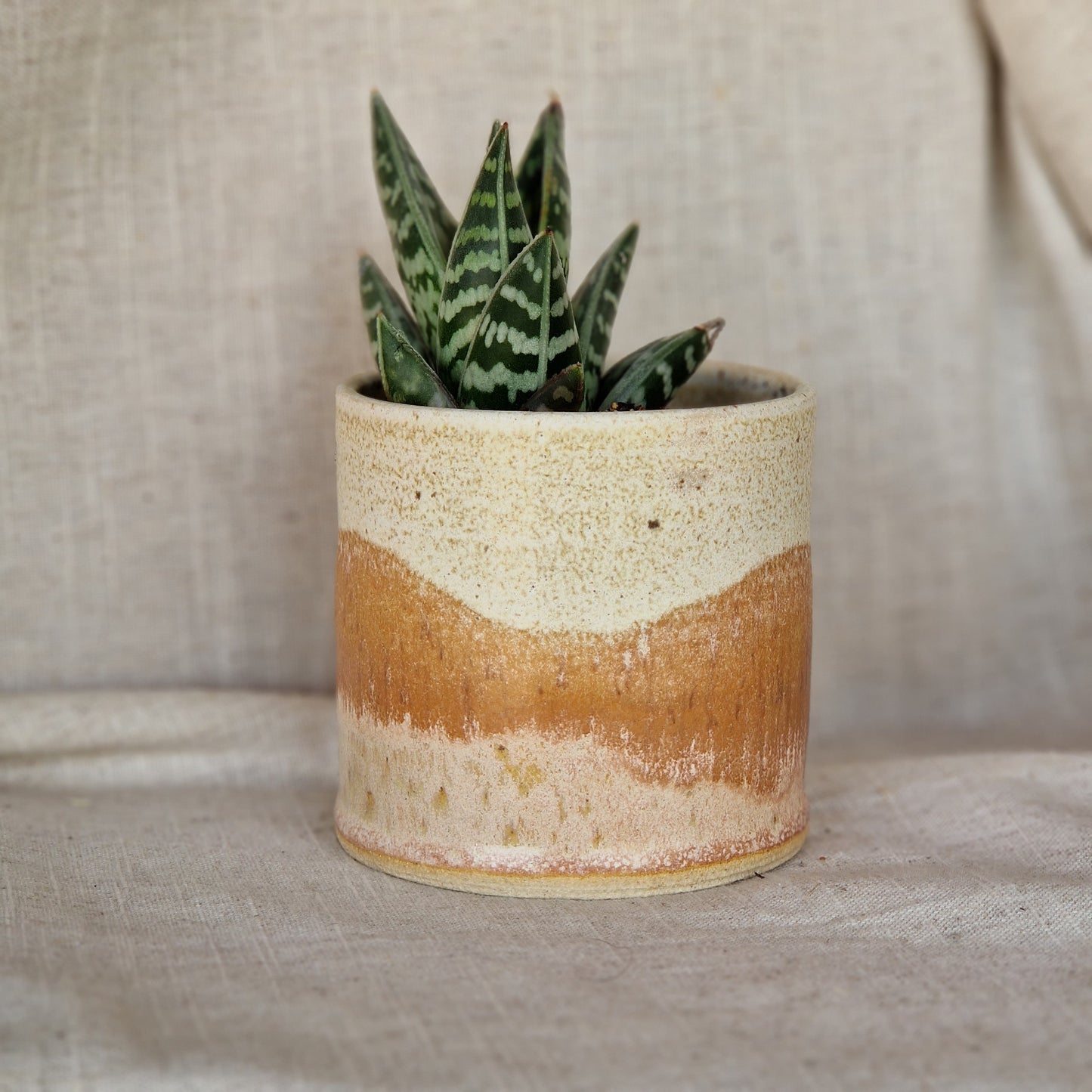 Dunes 8cm planter