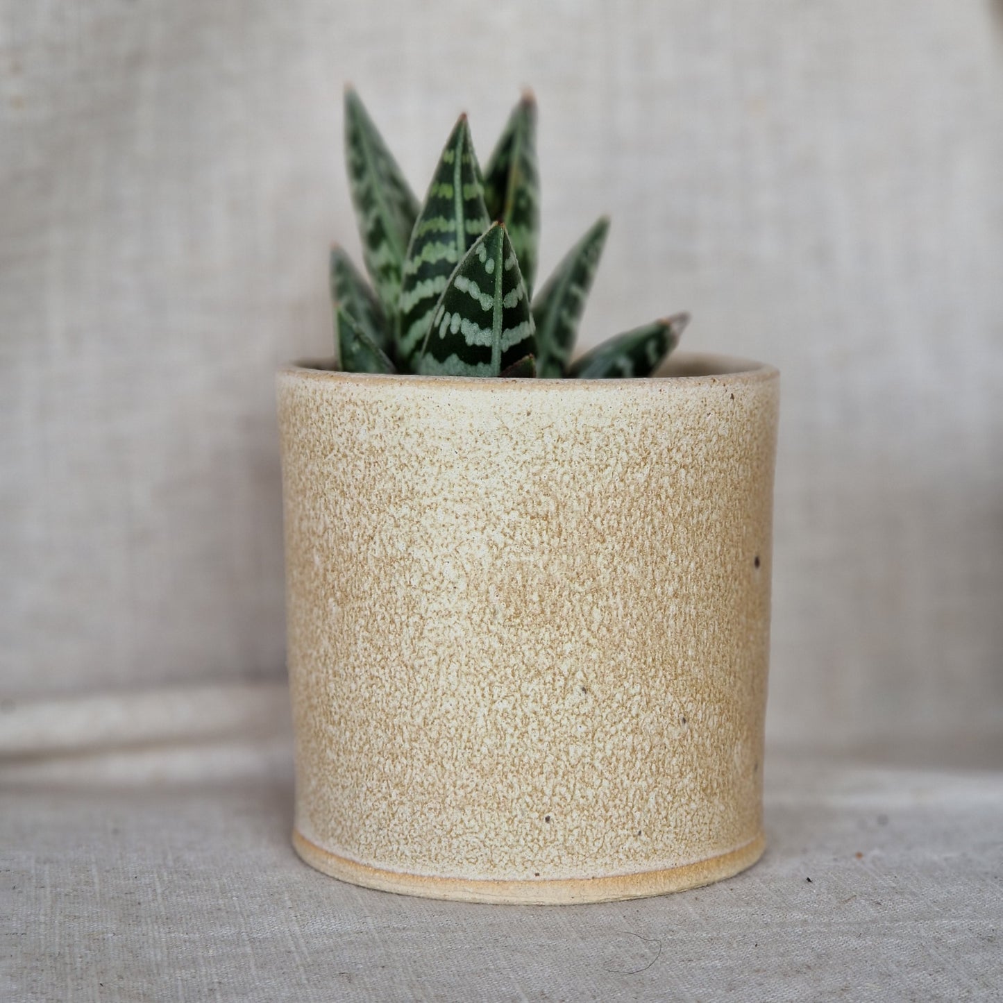 Cream 8cm Planter