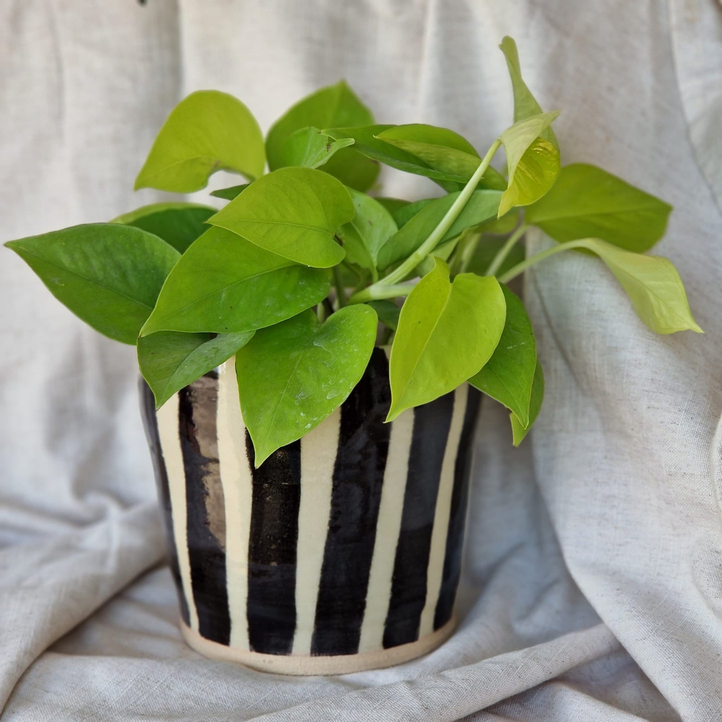 Stripe 12cm planter