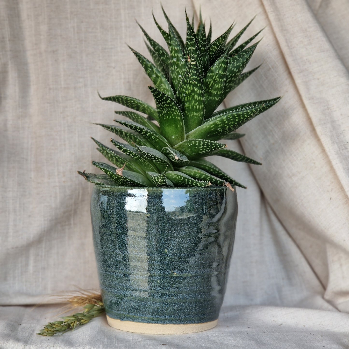 Green 12cm planter