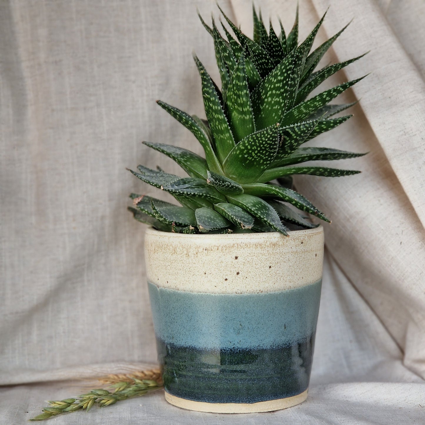 Mountains 12cm planter