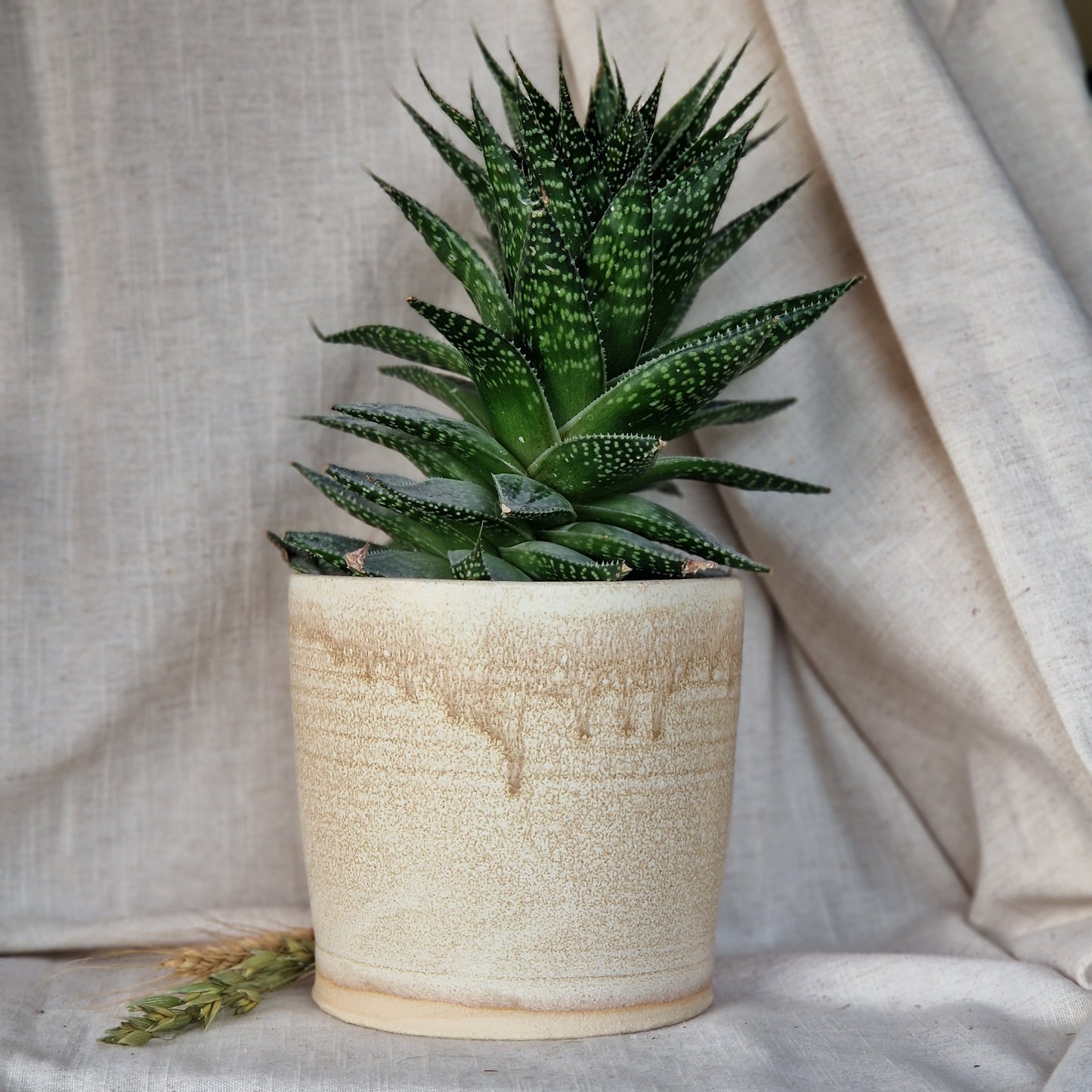 Cream 12cm planter