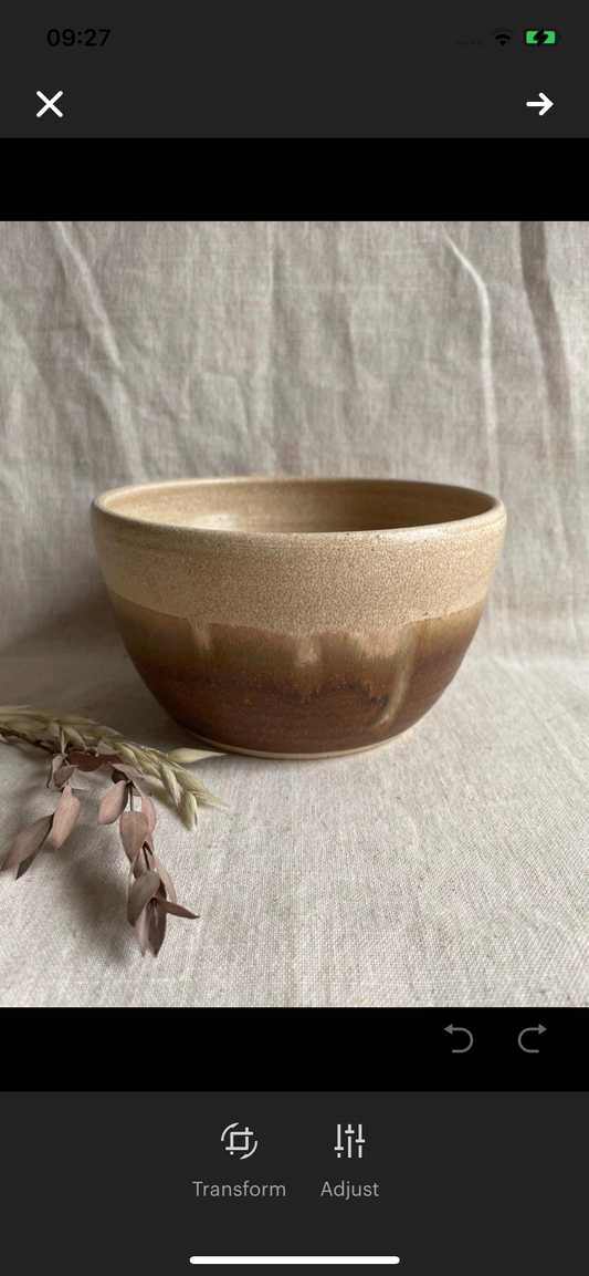 Sandstorm Medium Bowl