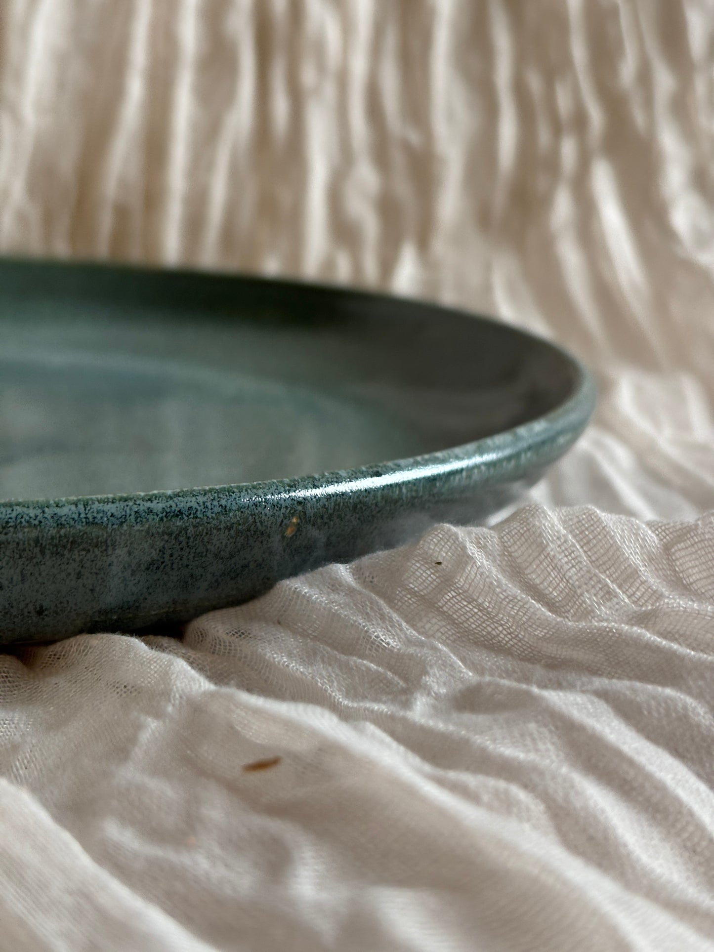 Earth Coupe Dinner Plate