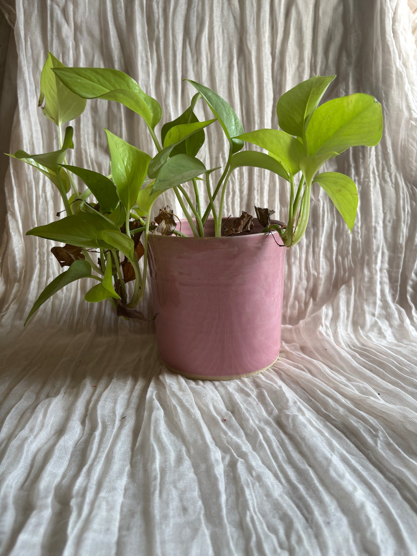 Candy Floss Pink 12cm Planter