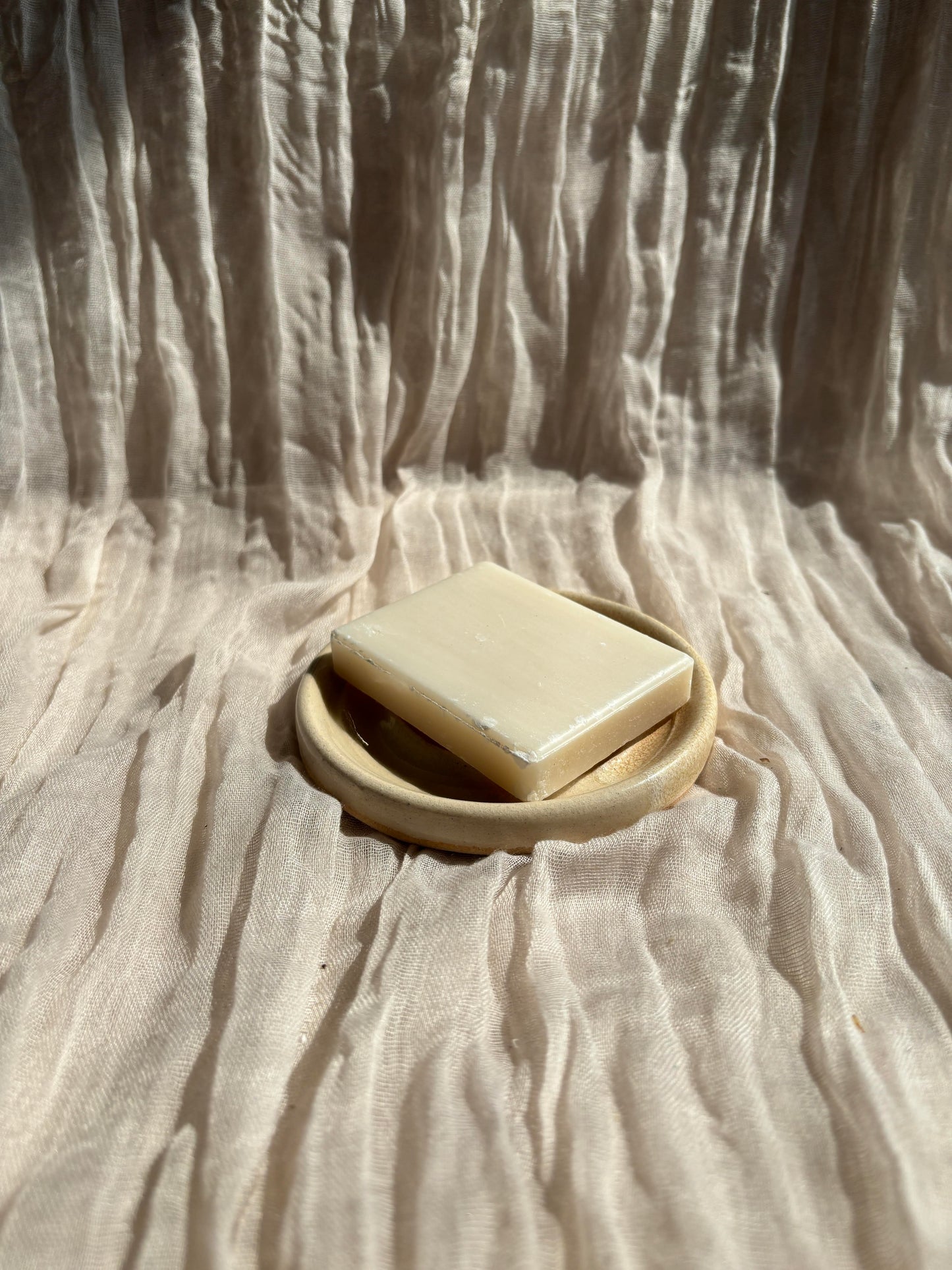 Low Tide Soap Dish