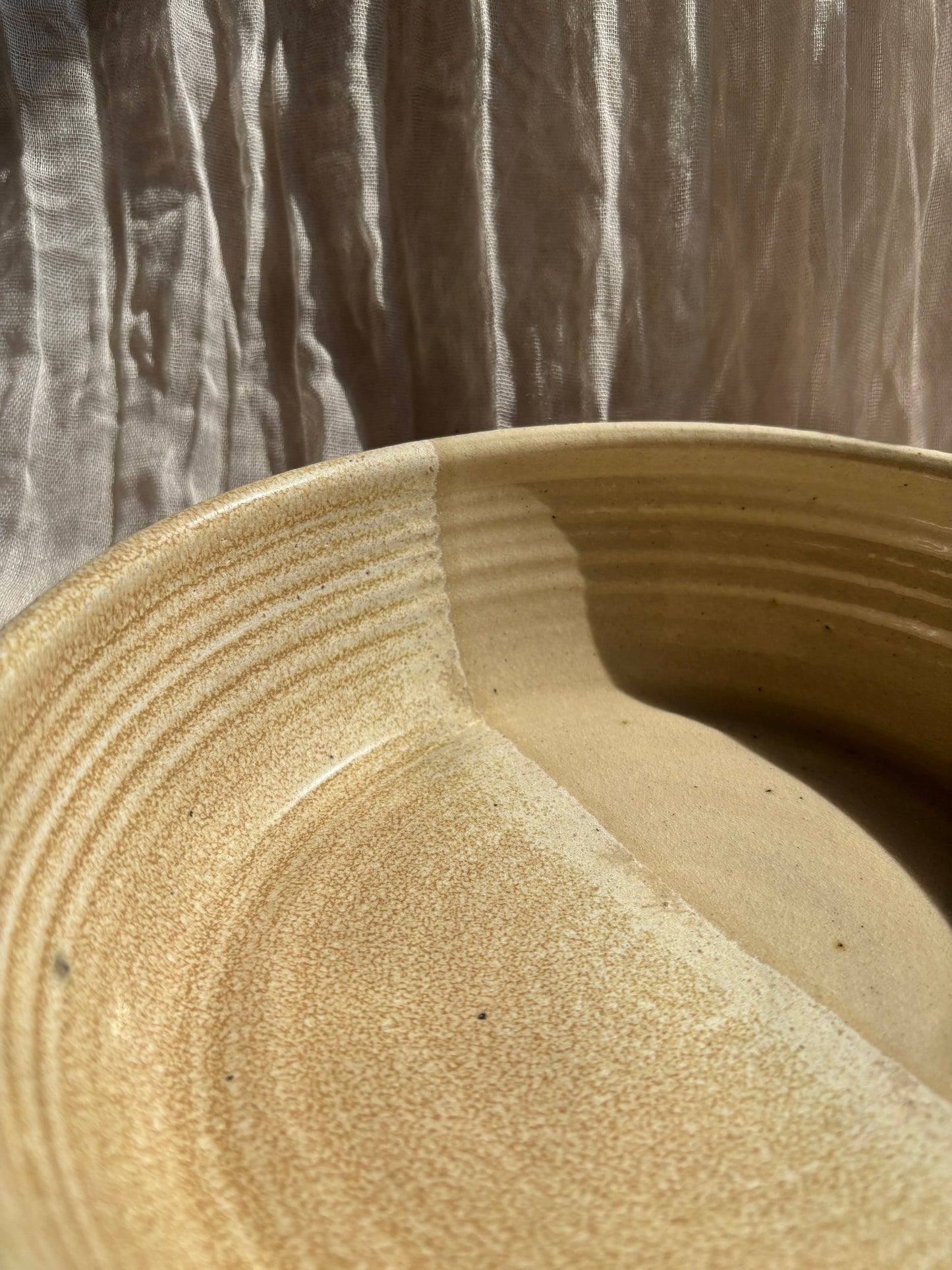 Low Tide Pasta Bowl