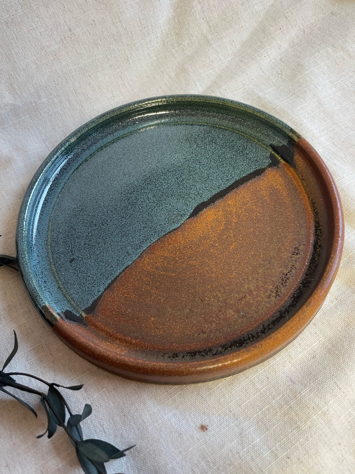 Earth Ceramic Plate