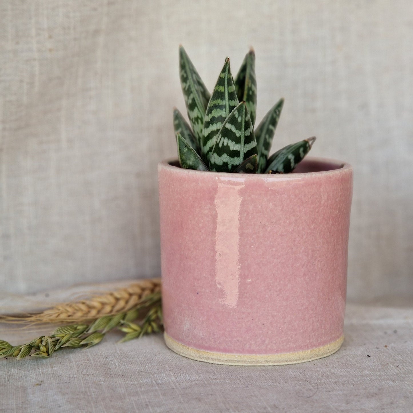 Candy Floss Pink 8cm Planter