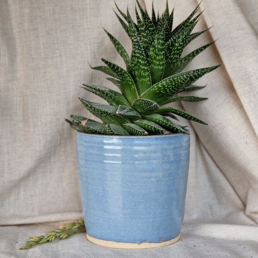 Sky Blue 12cm Planter