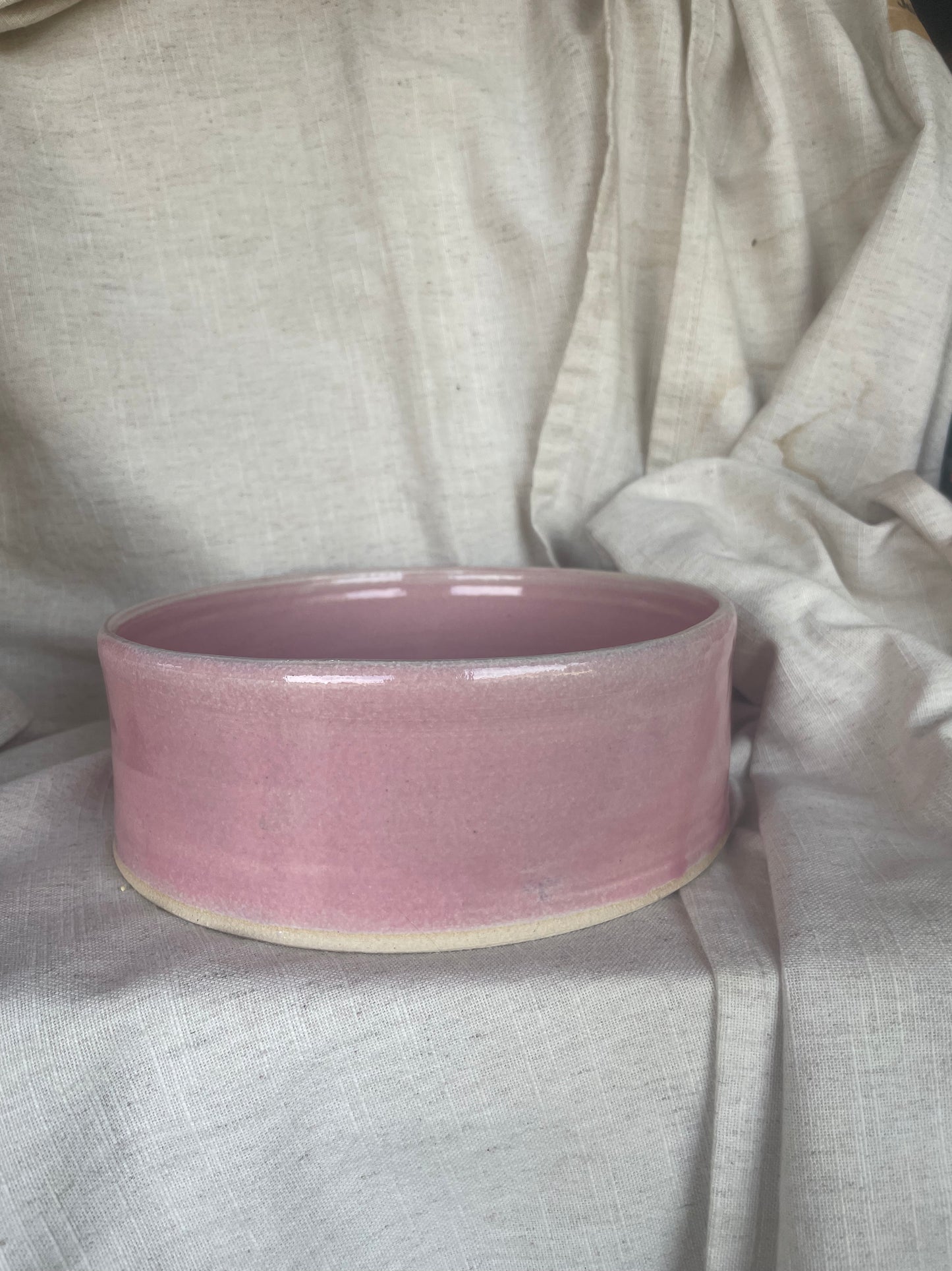 Small Pet Bowl