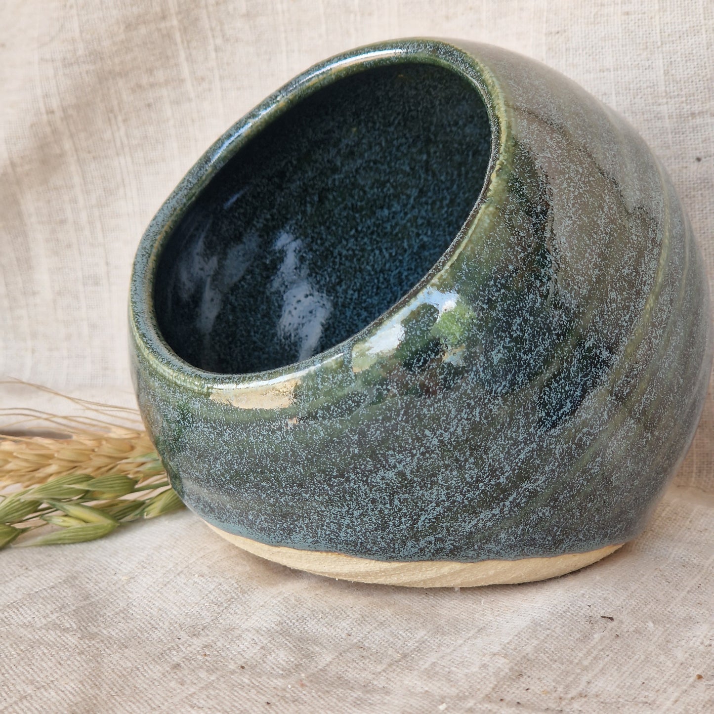 Green Salt Pig