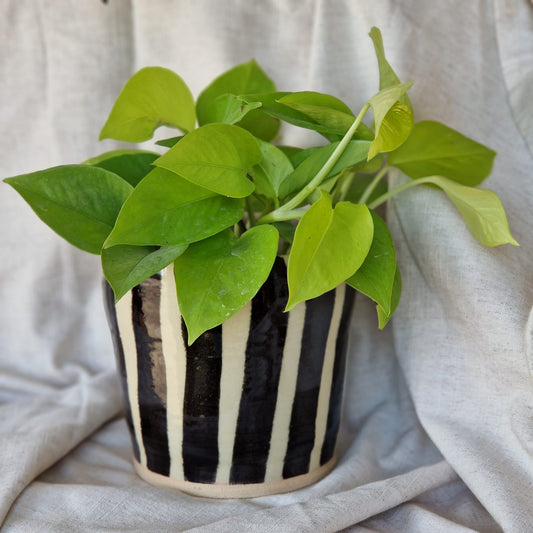 Stripe 12cm Planter