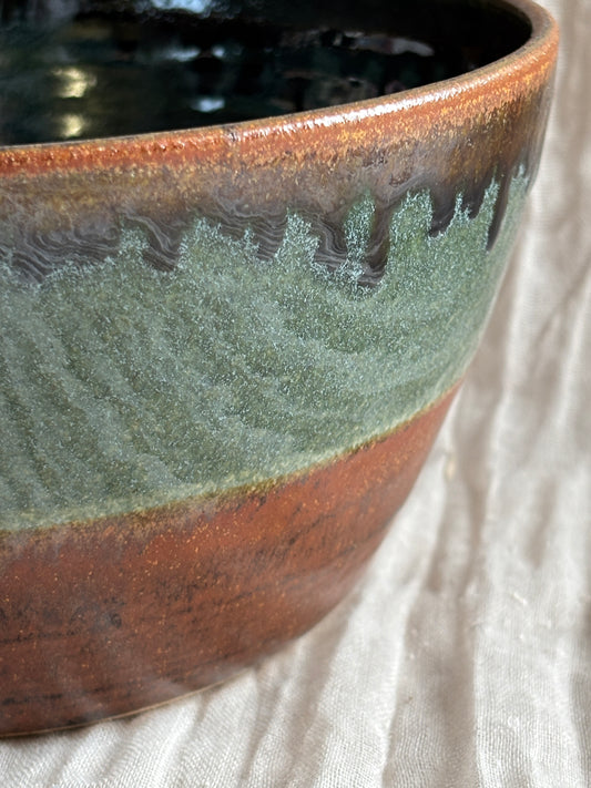 Earth Ramen Bowl