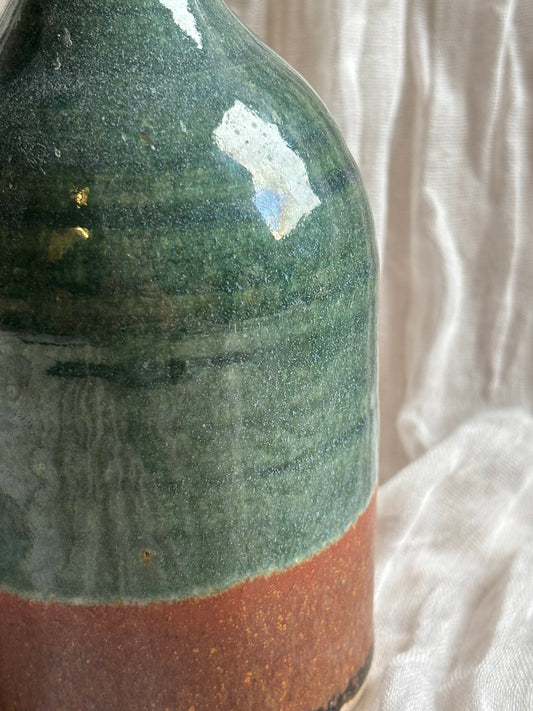 Earth Liquid Soap Dispenser Bottle
