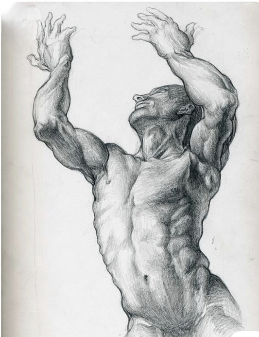 From Paper to Clay - Life Drawing and Sculpture Course