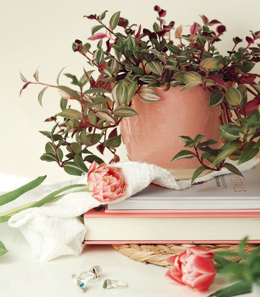 Candy Floss Pink 12cm Planter