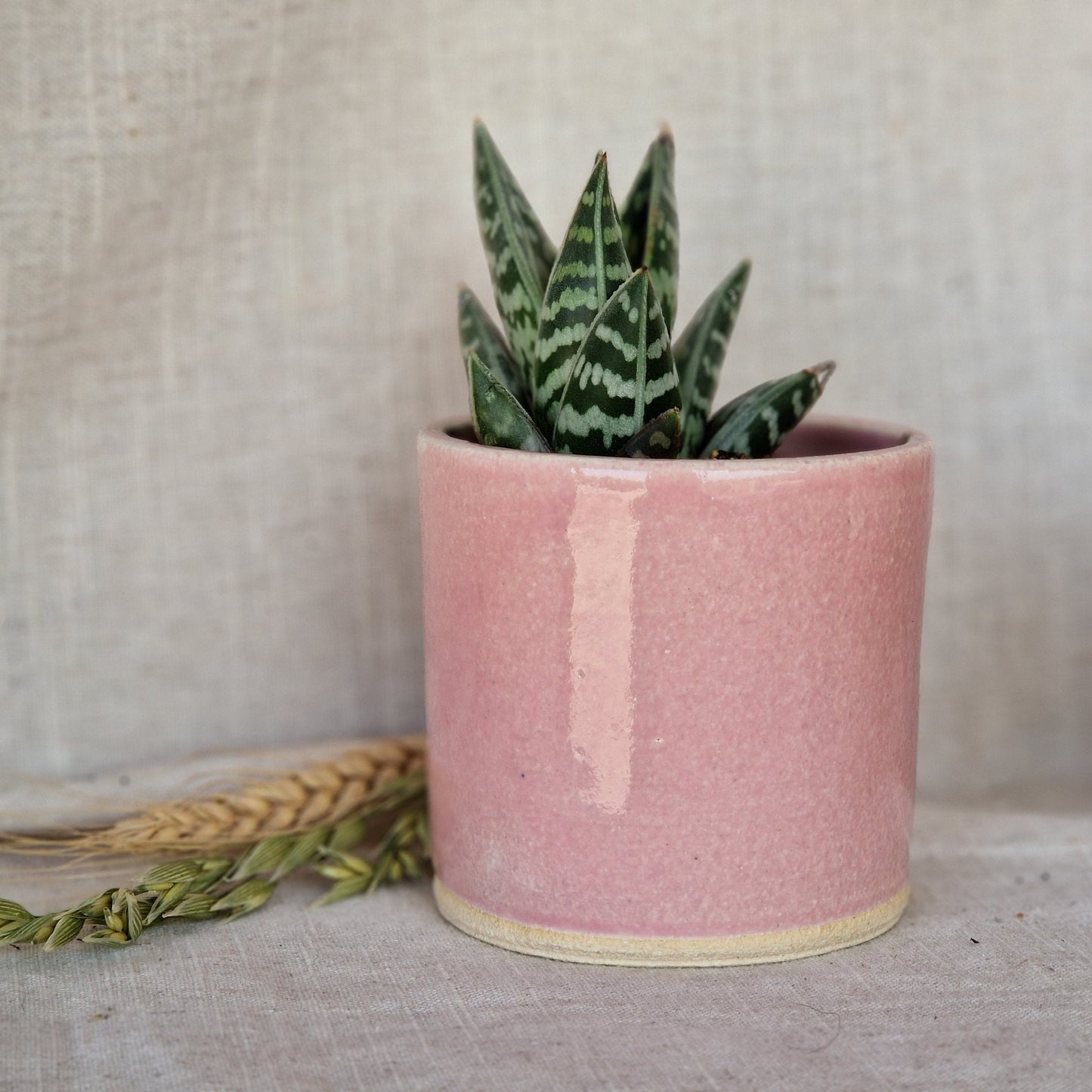 Candy Floss Pink 8cm planter