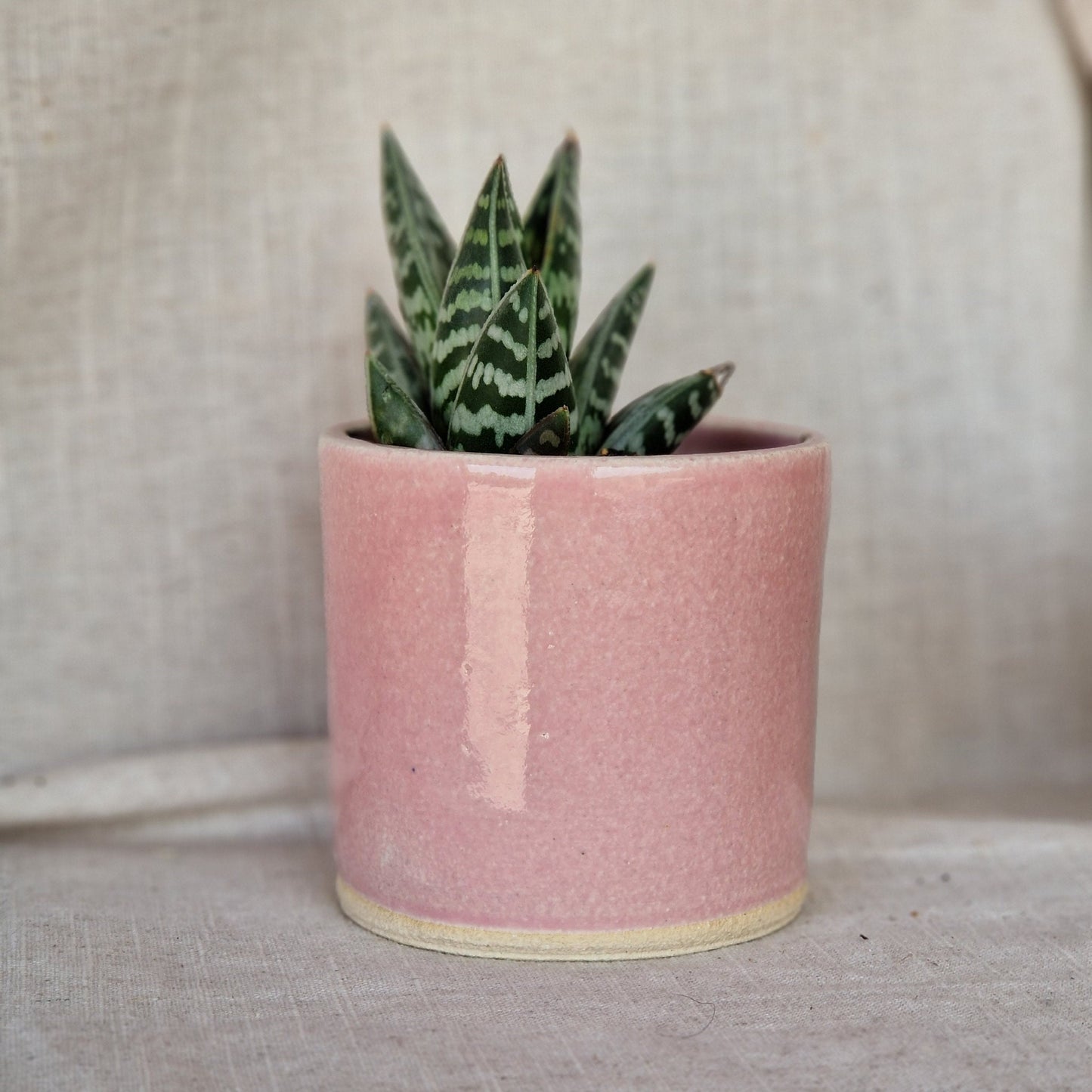 Candy Floss Pink 8cm Planter