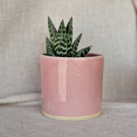 Candy Floss Pink 8cm Planter