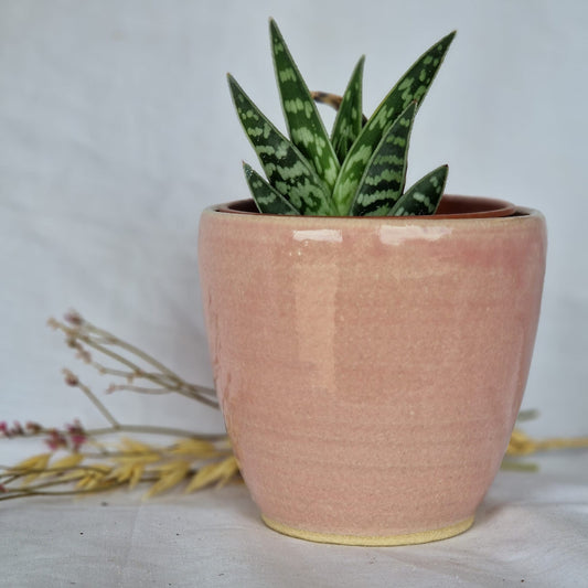 Candy Floss Pink 10cm Planter